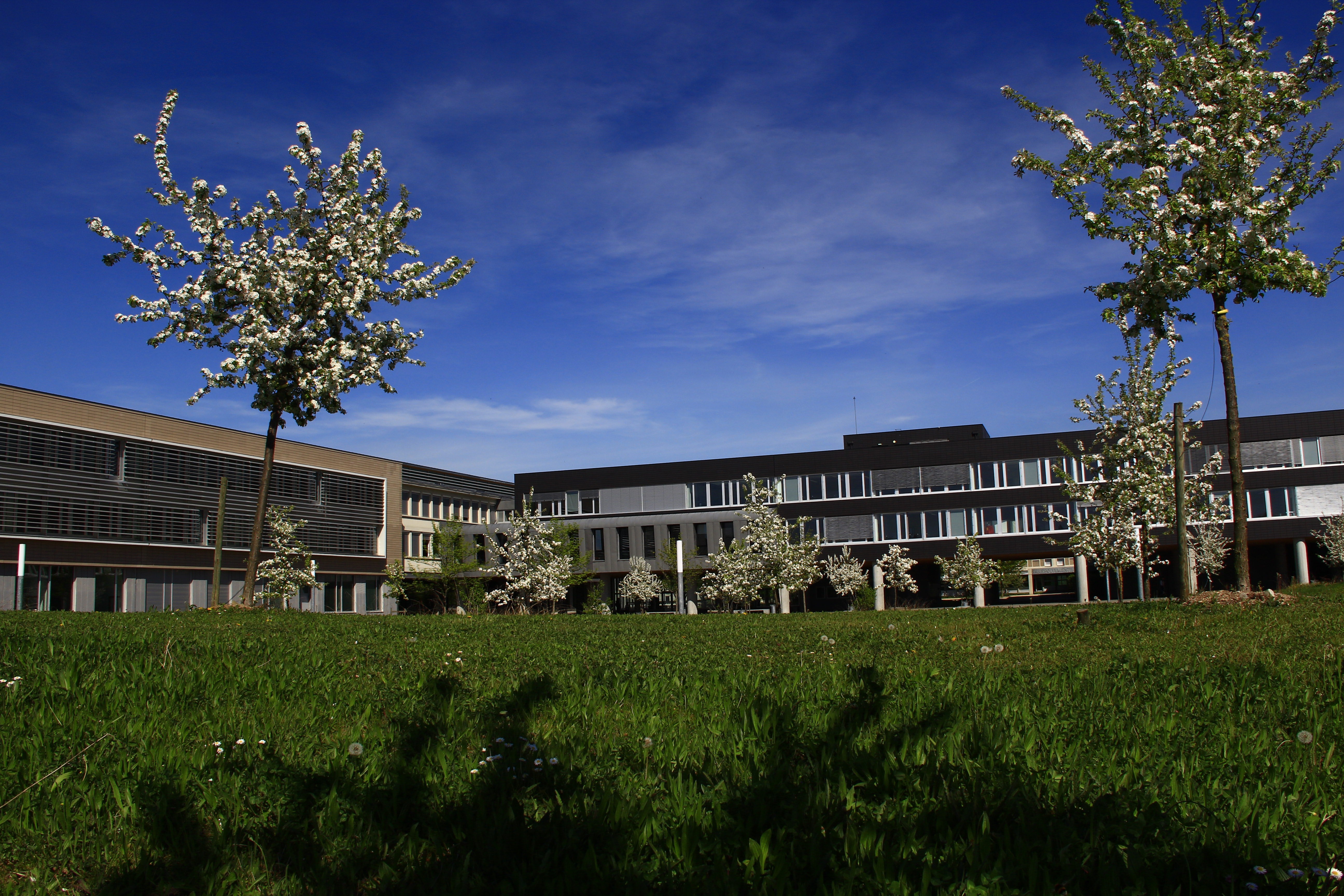Vue sur prairie et batiment E